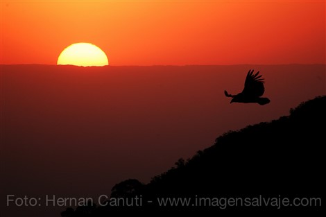 Image title Image description