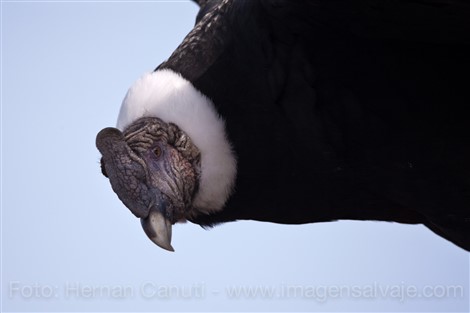 Image title Image description