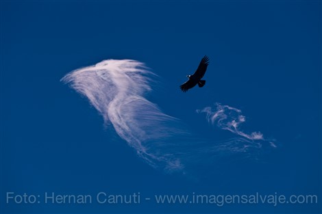 Image title Image description