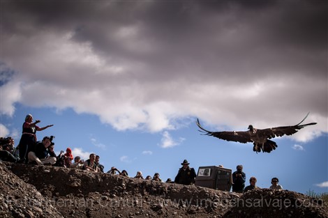 Image title Image description