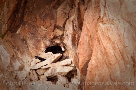 Image title Image description